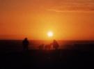 agadir...soleil...vivre tronkil